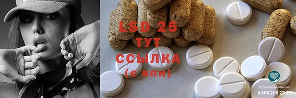 прущие грибы Алексеевка