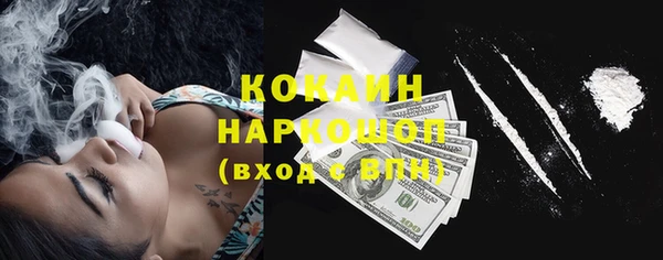 соль ск Михайлов