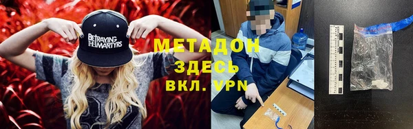 прущие грибы Алексеевка