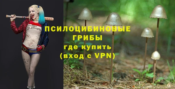 прущие грибы Алексеевка