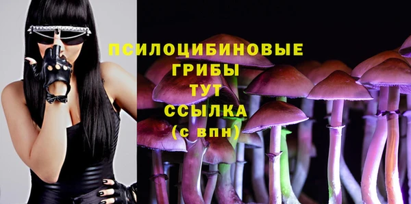 прущие грибы Алексеевка