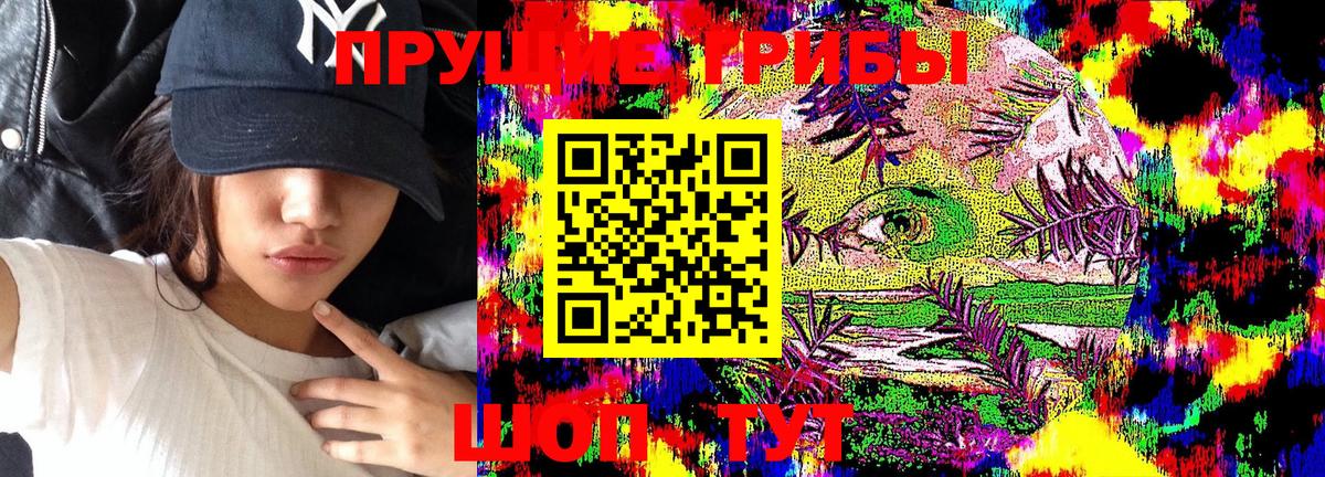 Псилоцибиновые грибы GOLDEN TEACHER Чайковский